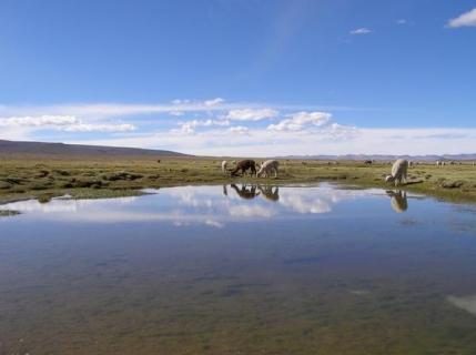 Bild 7 zur Urlaubsidee »DURCH PERU UND BOLIVIEN IN 26 TAGE ab 6 Teilnehmer«