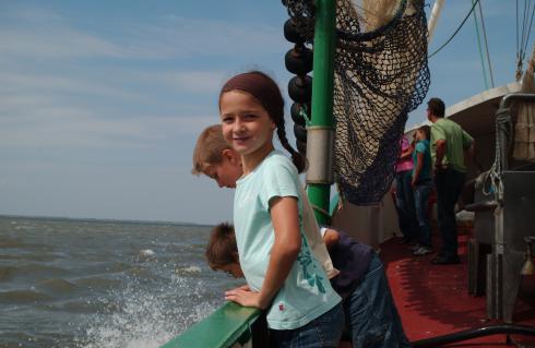 Bild 1 zur Urlaubsidee »Ostfrieslands Natur - Von Meerestieren und Moorkolonisten«
