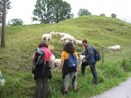 Bild 2 zur Urlaubsidee »Entspannung - Entschleunigung - Erholung«