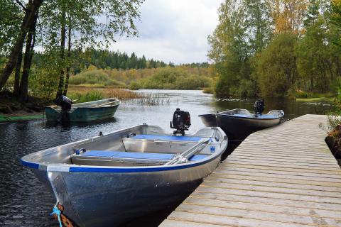 Bild 20 zur Urlaubsidee »Abenteuer in Schweden im Land der Elche«