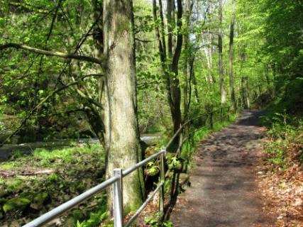 Bild 1 zur Urlaubsidee »Individueller Wanderurlaub auf dem Malerweg«