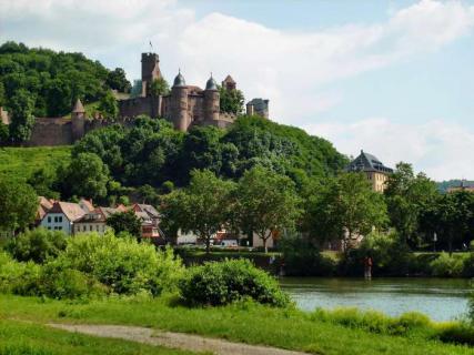 Bild 5 zur Urlaubsidee »Radreise am Main-Radweg von Bamberg nach Aschaffenburg«
