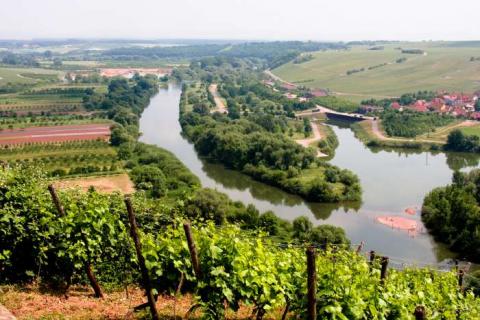 Bild 1 zur Urlaubsidee »Radreise am Main-Radweg von Bamberg nach Aschaffenburg«