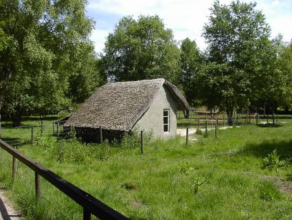 Bild 3 zur Urlaubsidee »Ostfrieslands Natur - Von Meerestieren und Moorkolonisten«