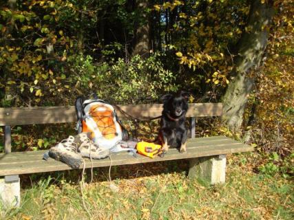 Bild 1 zur Urlaubsidee »Kurzurlaub mit Hund ins Saarland am Dreiländereck zu Frankreich & Luxemburg «