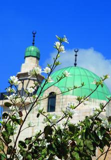 Bild 3 zur Urlaubsidee »Erlebnis-Wanderreise Jordanien«