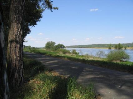 Bild 2 zur Urlaubsidee »Erlebnisvolle Radtouren von Frankfurt/Oder nach Usedom«