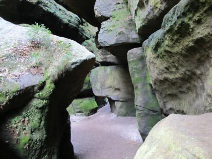 Bild 7 zur Urlaubsidee »Wanderreise entlang des Malerwegs in der Sächsischen Schweiz«