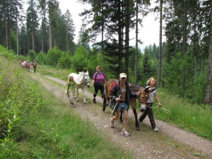 Bild 1 zur Urlaubsidee »Familiencamp Schwarzwald: Familien-Aktivurlaub im sonnigen Süden Deutschlands«