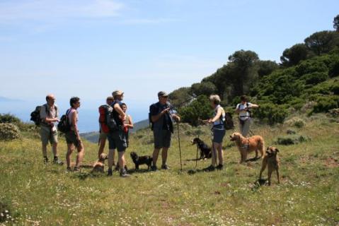Bild 1 zur Urlaubsidee »Elba für Alleinreisende & Singles mit Hund! «