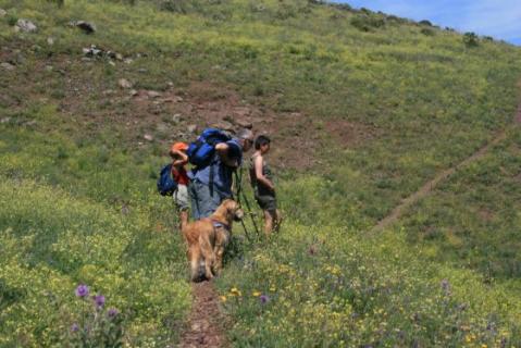 Bild 3 zur Urlaubsidee »Elba für Alleinreisende & Singles mit Hund! «
