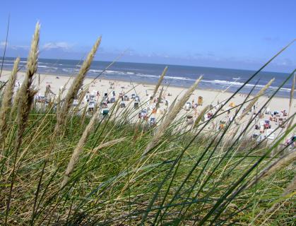 Bild 5 zur Urlaubsidee »Ostfrieslands Natur - Von Meerestieren und Moorkolonisten«