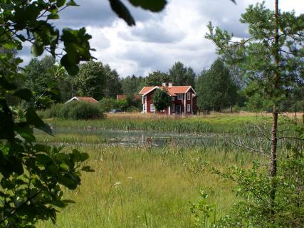 Bild 15 zur Urlaubsidee »Abenteuer in Schweden im Land der Elche«
