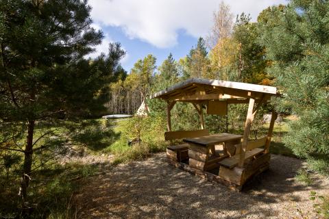 Bild 11 zur Urlaubsidee »Abenteuer in Schweden im Land der Elche«
