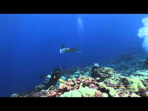 See video